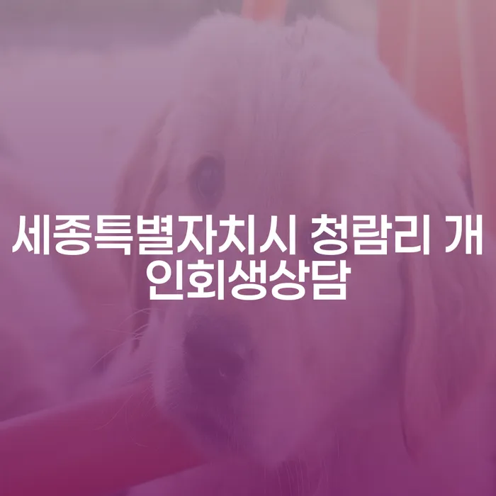 세종특별자치시 청람리 개인회생상담, 어떻게 시작해야 할까요?