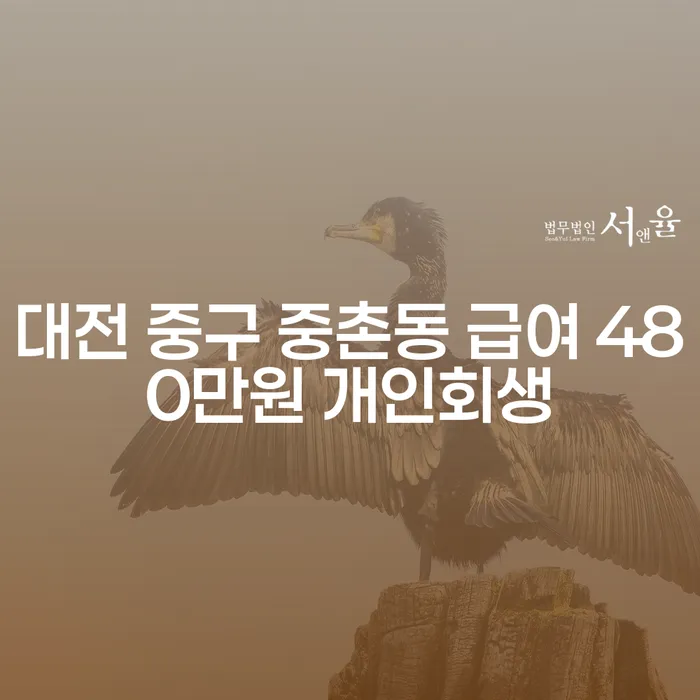 대전 중구 중촌동에서 급여 480만원으로 개인회생을 고려하는 이유는?