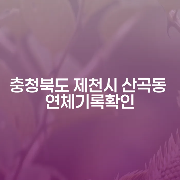 충청북도 제천시 산곡동 연체기록을 확인하고 개인회생 절차를 시작하는 방법은?