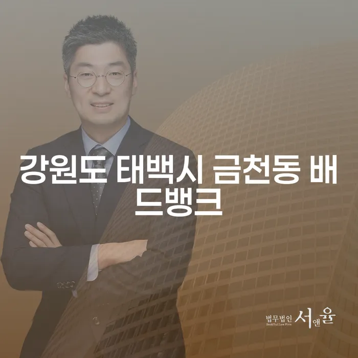강원도 태백시 금천동 배드뱅크와 개인회생국세, 어떤 선택이 맞을까요?