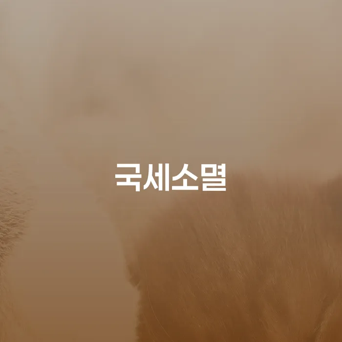 국세소멸과 개인회생 후 압류통장 활용, 어떻게 해결할 수 있을까요?