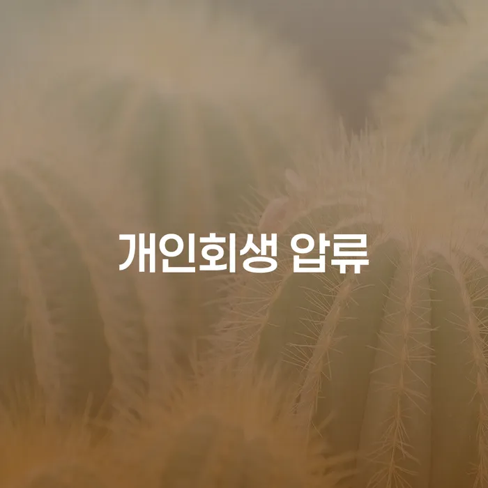 개인회생 압류와 대부, 채무 해결의 실마리는?